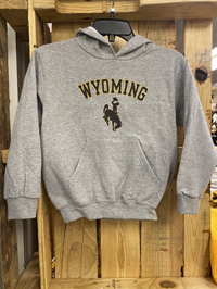 Champion® Youth Wyoming Arch over Bucking Horse Fleece Hoodie